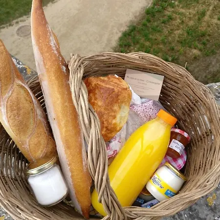 Διαμέρισμα Joli T2 Dans Avec Piscine, Hammam Et Parking Gratuits Καρκασόν