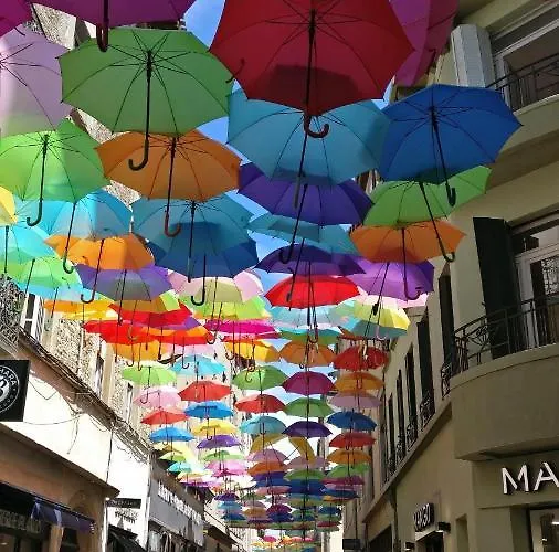 Joli T2 Dans Avec Piscine, Hammam Et Parking Gratuits Apartman Carcassone